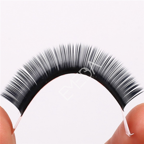 Extension of Eyelashes EL39